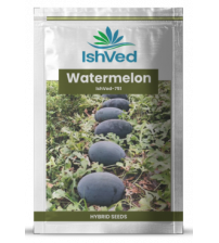 Watermelon IVWMH-751 50 grams